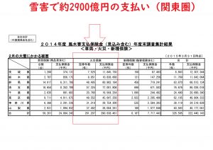 大雪被害で2900億円の支払い