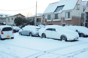 大雪被害